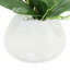 Silk Orchid Faux Floral in Vase