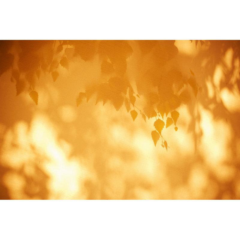 Leaf Background by Bluberries - No Frame Art Prints on Canvas, 61cm H x 91cm W