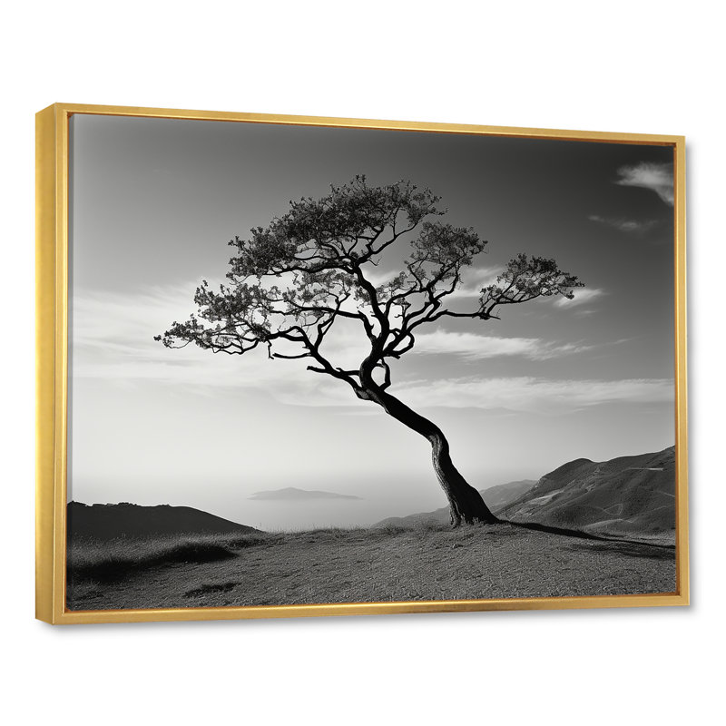 Arbre de solitude noir et blanc, horizon côtier I - impression, Cadre flottant doré, 30" H x 40" W