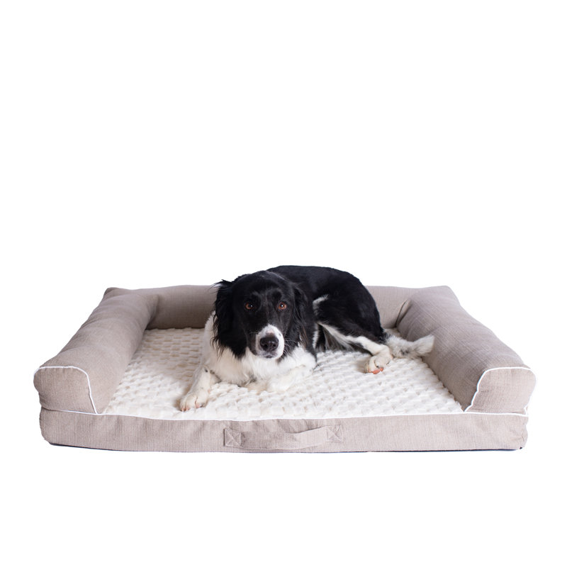 Medium Ivory and Beige Memory Foam Orthopedic Pet Bed