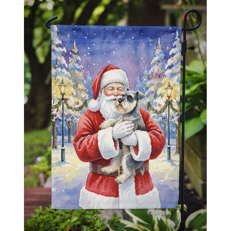 Schnauzer avec le drapeau du père Noël, Taille du jardin, Schnauzer