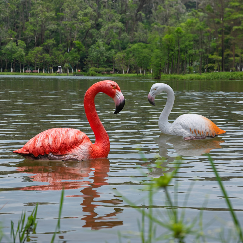 Flamant rouge flottant et blanc