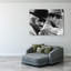 Robert Redford et Paul Newman-912096731