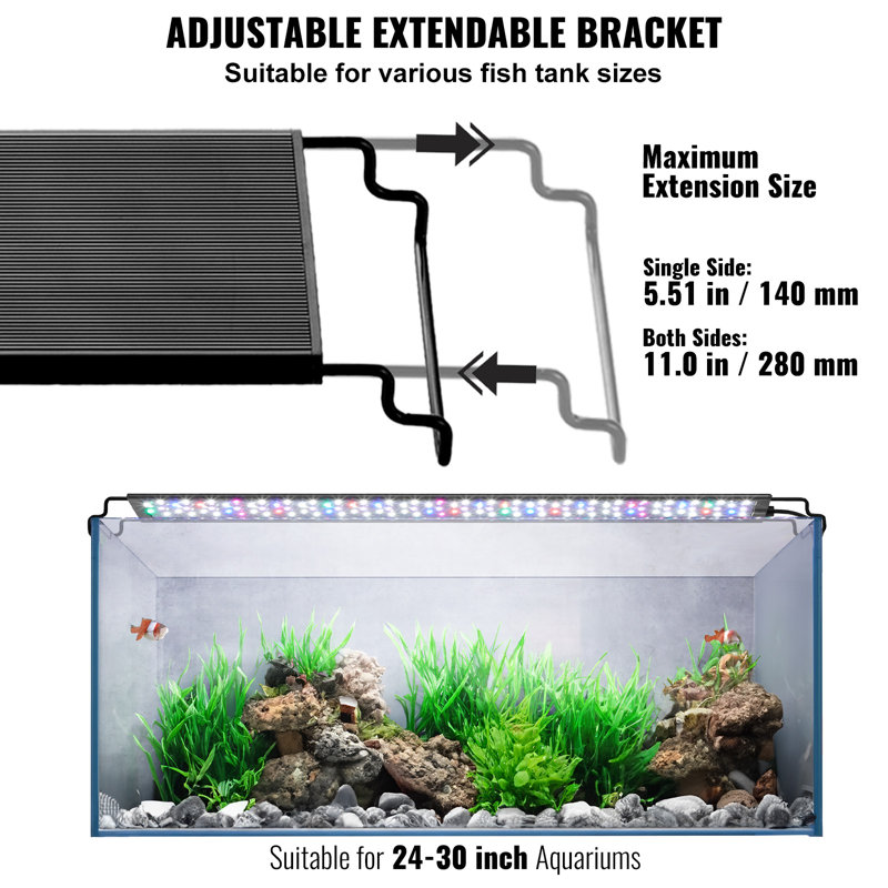 Éclairage de l'aquarium