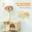 Cat Tree-119765483-119765486