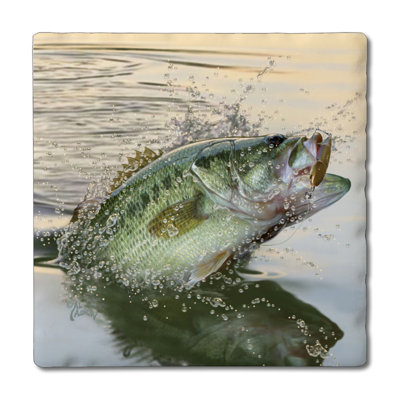 East Urban Home Bass Eruption 4-Pack Tumbled Tile Stone Coasters