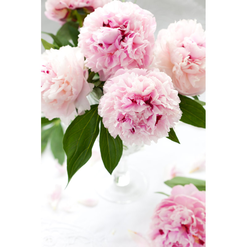 Pink And White Flowers by Sarsmis - Wrapped Canvas Print, 122cm H x 81cm W