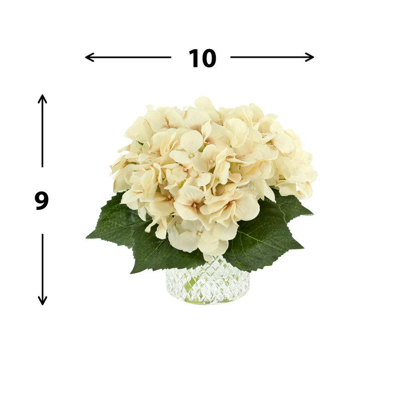 Hydrangeas in Vase