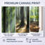 «Sunny Morning Magic Forest», photographie sur toile-1915320123-1915320120