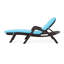 Chaise longue confortable avec coussin - Chaise longue de jardin en polypropylène brun foncé
