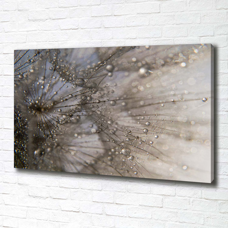 Dandelion Seeds - Wrapped Canvas Print