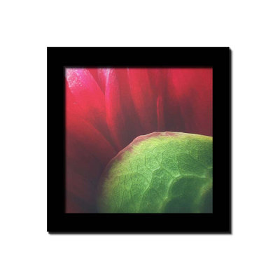 Macro Red Petals by Hal Halli. Paper Print - Mounted & Framed with Clear Acrylic
