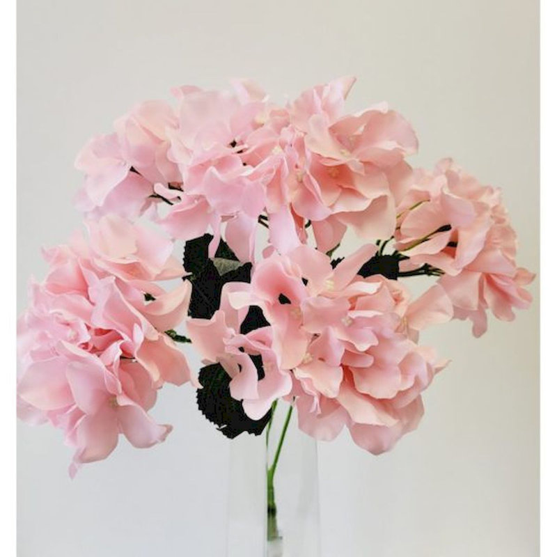 Hortensia, Rose