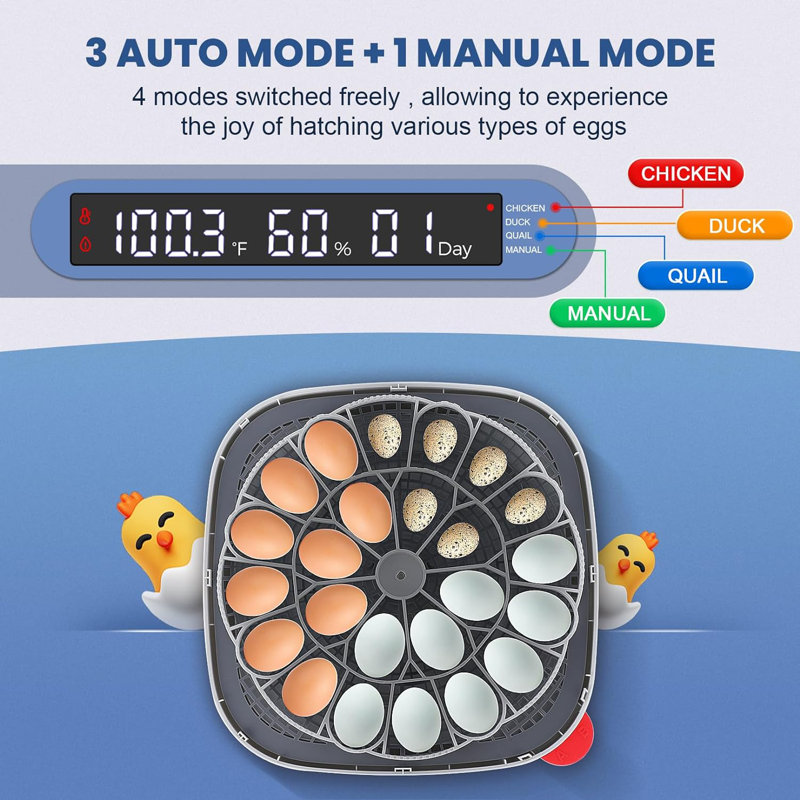 24 Chicken Egg Incubators with 4 Modes, 360° View Incubator with Automatic Egg Turning and Temperature Control Humidity Display, Digital Incubator for Chicken Quail Duck