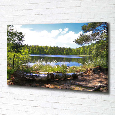 Forest Panorama - Wrapped Canvas Print