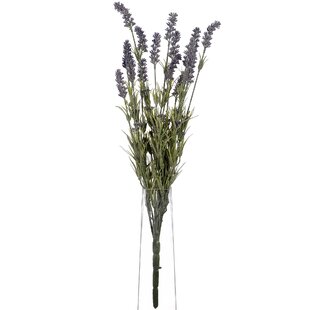 Lavender Stems, Bushes, And Sprays Arrangement (Set of 3)