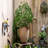 Ruhhena Pot Planter-1456239922