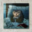 «Night Owl» par Lucia Heffernan, art mural en verre acrylique-161098834