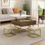 Ensemble de tables basses à plateau relevable moderne avec rangement et 4 repose-pieds