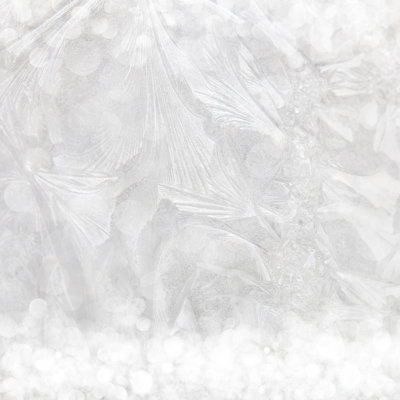 Frost Patterns On Window - Wrapped Canvas Print
