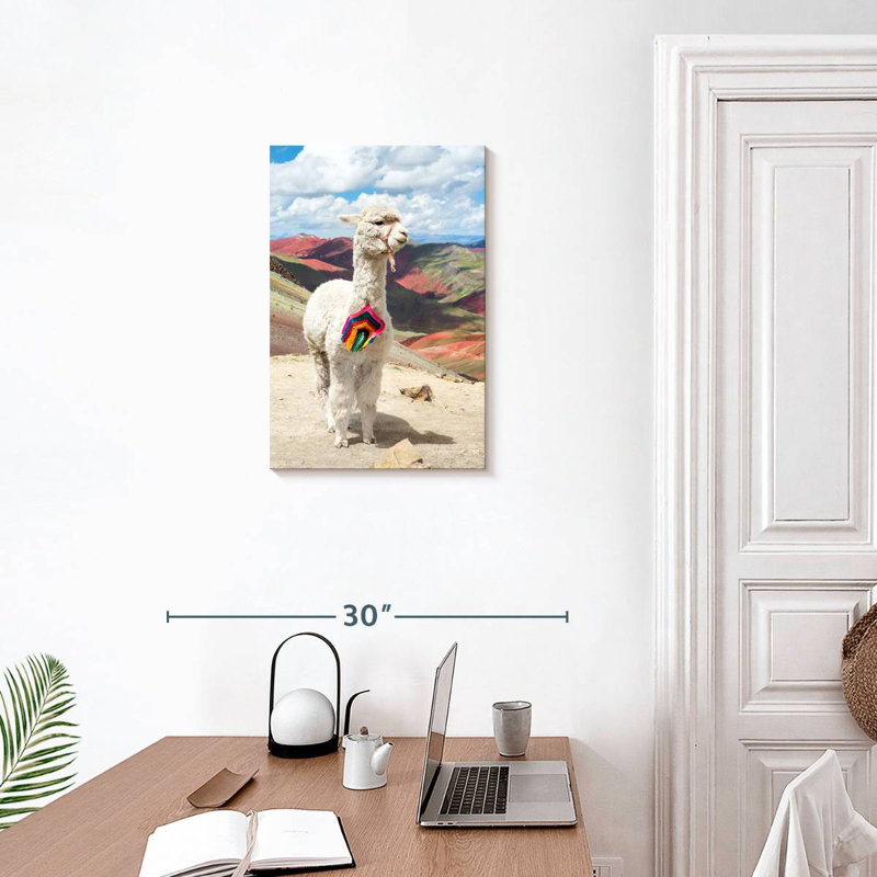 Brampt couleurs du Pérou - Alpaca blanc Palcoyo, H 24 po x l 16 po