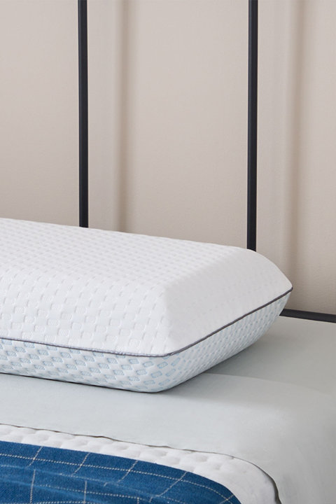 Shop Bed Pillow