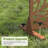 6ft. H x 4ft. W Metal Privacy Screen Fence Panel Leave Pattern-55887658