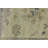 Performance Wool Oriental Indoor Rug