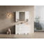 Meuble-lavabo autoportant de 48 po avec lavabo en résine, 2 armoires de rangement, 2 armoires murales, portes et tiroir à fermeture en douceur, contreplaqué (KD-Packing)