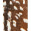 Ceallach Animal Print Faux Fur Area Rug-1881612973