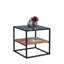 Hadly Coffee Table with Storage