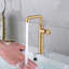 Single-Hole Single-handle Bathroom Faucet