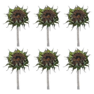 Tige de tournesol (ensemble de 6)
