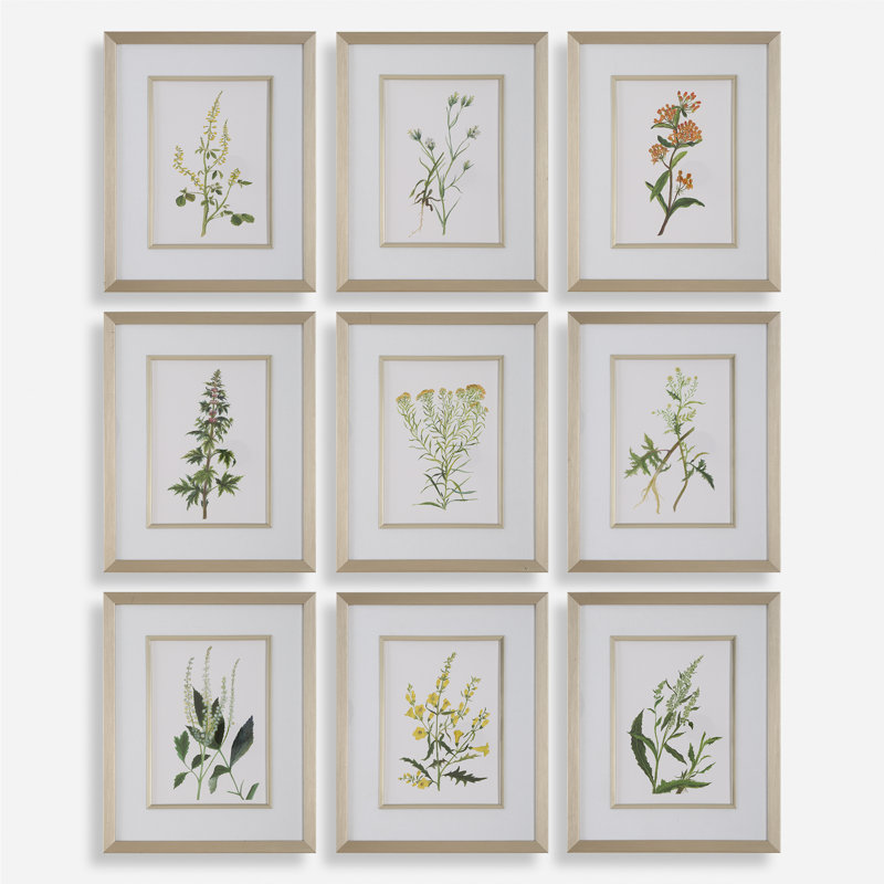 Fleurs botaniques, S / 9