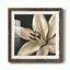 «Classical Blooms III», reproduction encadrée de qualité supérieure - prête à être accrochée-62719709-62719706