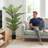 EverGreen Decor Artificial Ficus Tree Outdoor UV-Resistant Fake Plant with 15 Lifelike Fronds, 2-Pack for Patio & Garden-520732631