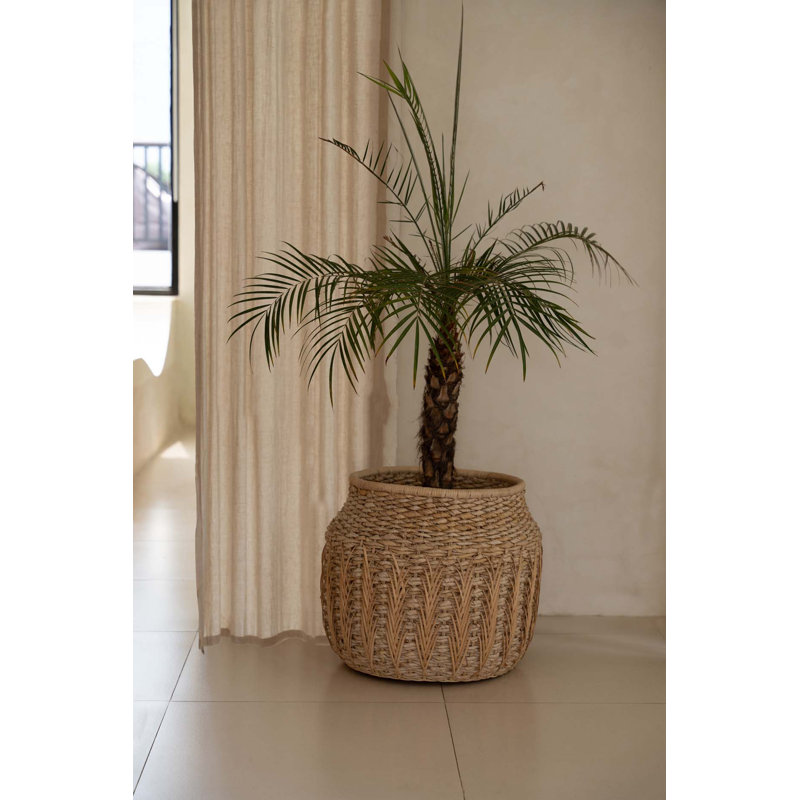 Ebern Designs Decorative Basket, 45cm H x 52cm W x 52cm D