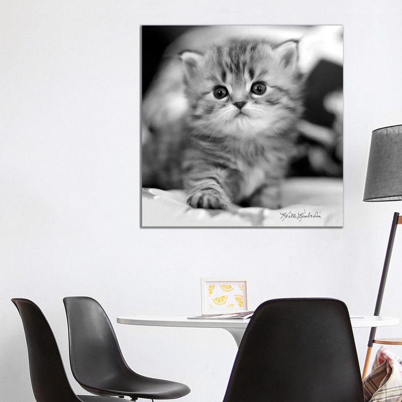 Mine by Keith Kimberlin - Print on Canvas, 93.98 cm H x 93.98 cm W x 1.91 cm D, Wrapped Canvas