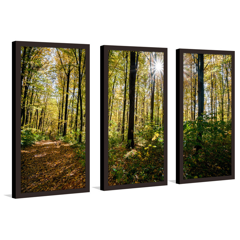 Forêt, arbres, ensemble de 3 reproductions de photos sur acrylique, H 33,5 po x l 52,5 po x P 1 po