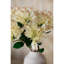 Anastasija Arrangement-2146114889