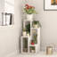 Deeter Multi-Tiered Plant Stand Stylish Freestanding Storage Solution-36035552