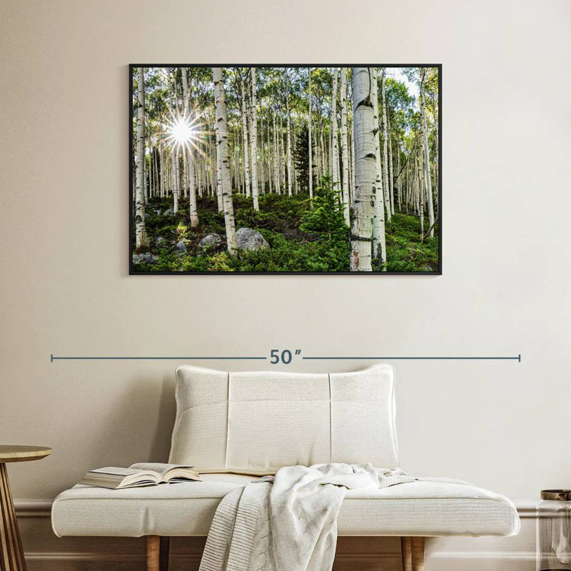 Harnek Aspen Forest Sunburst, H 27 po x l 40 po