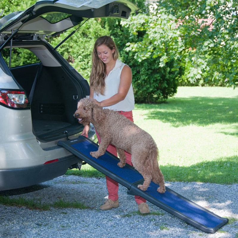 Pet Gear Bi-Fold Black and Blue Dog Ramp