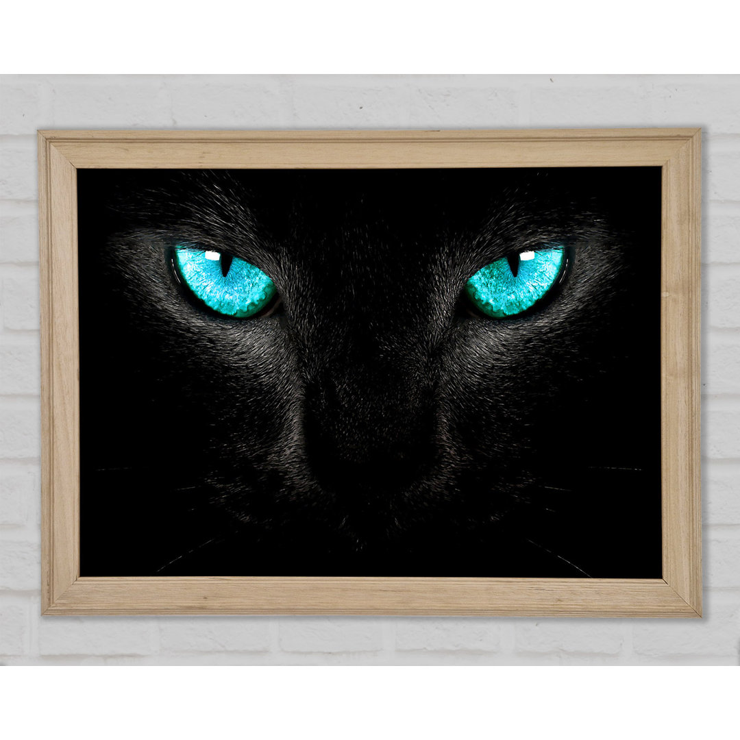 Blauäugige Katze - Kunstdrucke