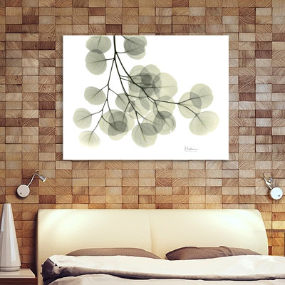" Eucalyptus - L257 "