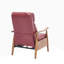 Fauteuil d'appoint moderne avec cadre en bois-1839467187