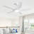 Lakenzie 48'' 5-Blade Modern Ceiling Fan with LED Light and Remote Control-1522235716