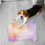 Tapis violet 1 pièce-101634832
