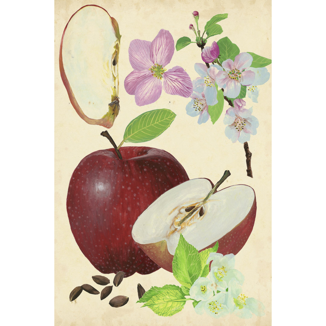 Leinwandbild Apple & Blossom Study I von Melissa Wang