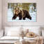 Adulte grizzly-107671335